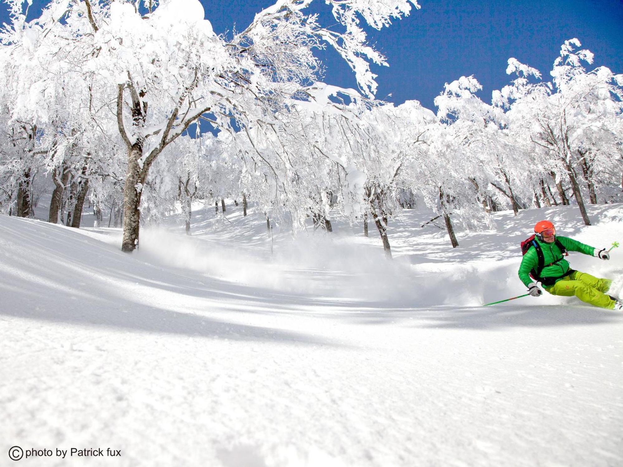 Hotel Green Plaza Hakuba Otari Exterior photo