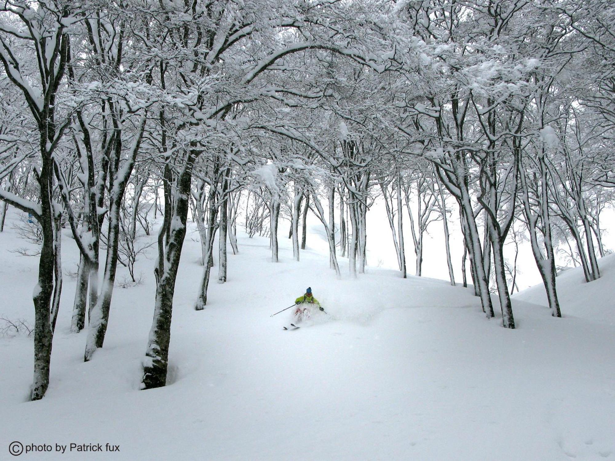 Hotel Green Plaza Hakuba Otari Exterior photo